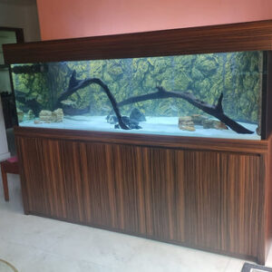6 Feet AQUARIUM Tank