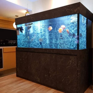 5 Feet AQUARIUM Tank