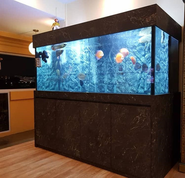 5 Feet AQUARIUM Tank