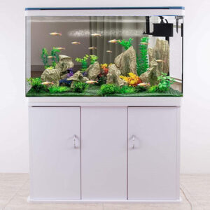 5 Feet Imported Aquarium