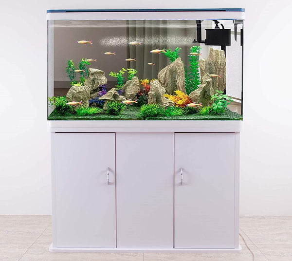5 Feet Imported Aquarium