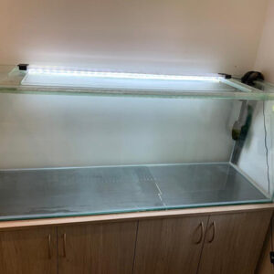 Used Aquarium