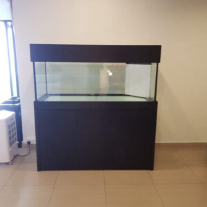 4 Feet AQUARIUM Tank