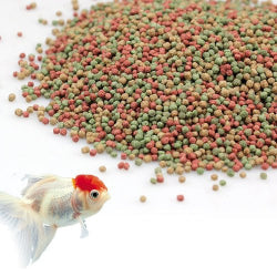 Gold Fish Food (FA Brand)