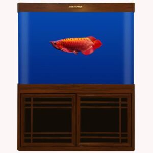 RS-100HF  RS120HF RS150HF AQUARIUM SET