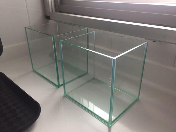 Betta Fish Nano Glass Tank