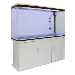 6 Feet Imported Aquarium