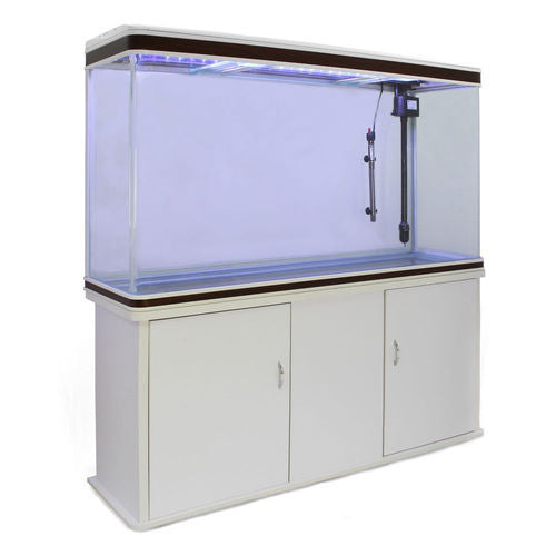 6 Feet Imported Aquarium