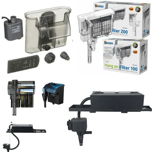 BUY AQUARIUM ACCESSORIES ONLINE