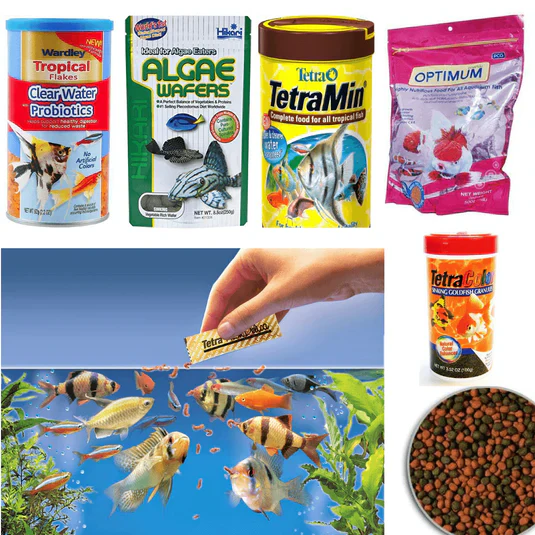BUY AQUARIUM FISH FOOD